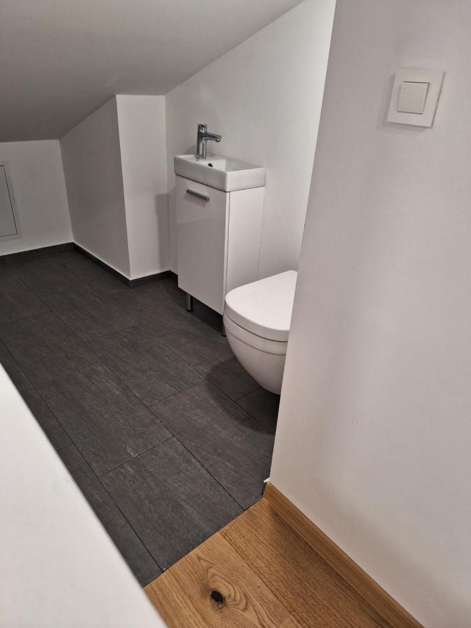 Guesthouse Flower ليوبليانا المظهر الخارجي الصورة