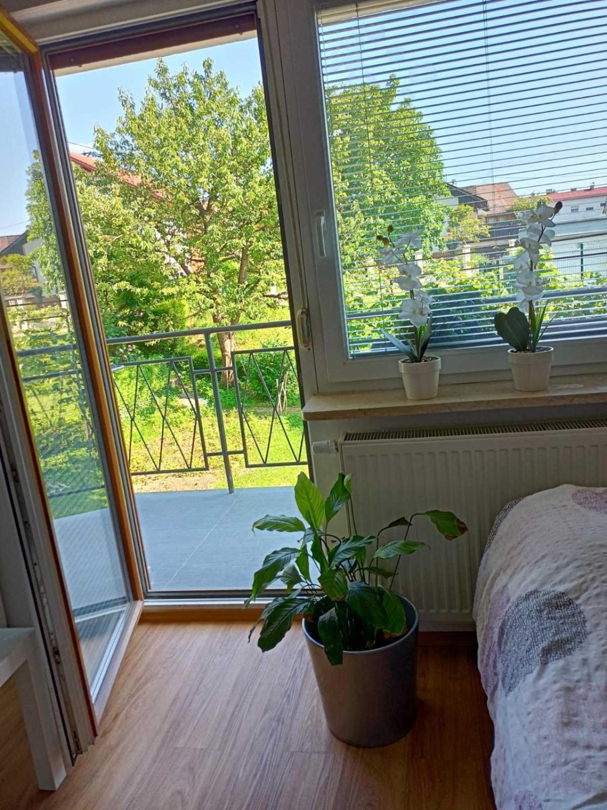 Guesthouse Flower ليوبليانا المظهر الخارجي الصورة